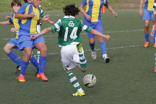 爱游戏娱乐-中国足球亚冠：上海申花逆转晋级，燃爆现场热潮，亚冠小组赛上海申花